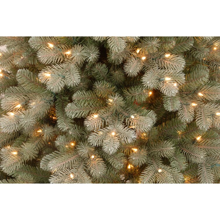 Traditional Frosted Pre-Lit Artificial Spruce Christmas Tree with Stand, Pine Cones, Faux Berries The Holiday Aisle Size: 9' H