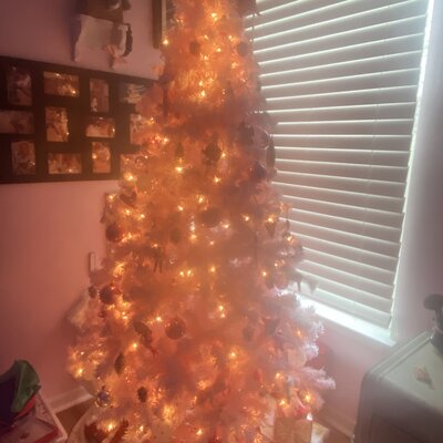 Pink Spruce Flocked/Frosted Christmas Tree with 250 LED Lights photo review