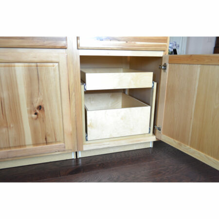 Rebrilliant Pull Out Drawer & Reviews